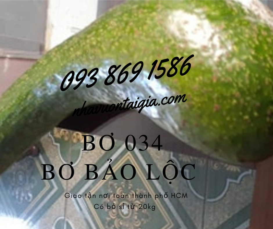 bo-034-loai-1-bo-bao-loc-lam-dong