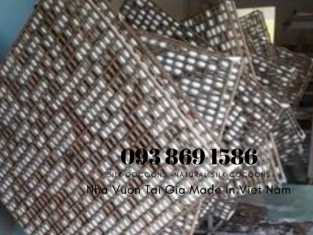 Tơ tằm xuất khẩu tơ tằm Việt Nam
