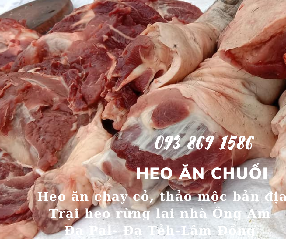 Heo ăn chuối chay thảo mộc Nhà ông Am Đạ Pal Lâm Đồng giá thịt heo bình ổn quanh năm từ trại Heo Rừng Lai